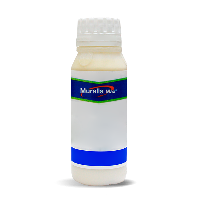 Muralla Max®